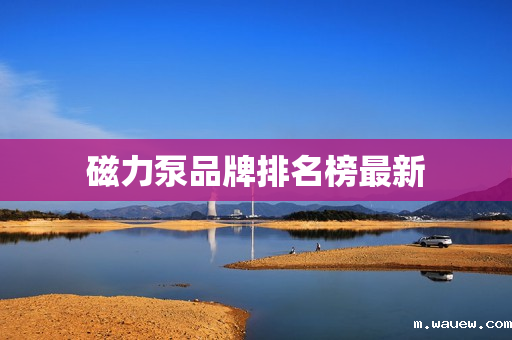 磁力泵品牌排名榜最新 磁力泵品牌排名榜最新