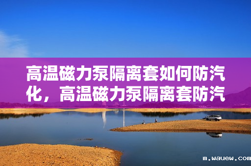 高温磁力泵隔离套如何防汽化,高温磁力泵隔离套防汽化技术解析 高温磁力泵隔离套如何防汽化,高温磁力泵隔离套防汽化技术解析