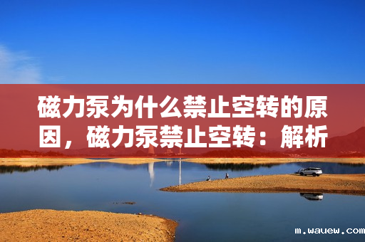 磁力泵为什么禁止空转的原因,磁力泵禁止空转:解析背后的原因与影响 磁力泵为什么禁止空转的原因,磁力泵禁止空转:解析背后的原因与影响