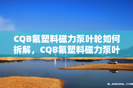 CQB氟塑料磁力泵叶轮如何拆解,CQB氟塑料磁力泵叶轮拆解指南 CQB氟塑料磁力泵叶轮如何拆解,CQB氟塑料磁力泵叶轮拆解指南