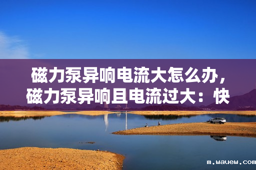 磁力泵异响电流大怎么办,磁力泵异响且电流过大:快速诊断与解决方案 磁力泵异响电流大怎么办,磁力泵异响且电流过大:快速诊断与解决方案