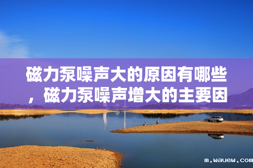 磁力泵噪声大的原因有哪些,磁力泵噪声增大的主要因素解析 磁力泵噪声大的原因有哪些,磁力泵噪声增大的主要因素解析