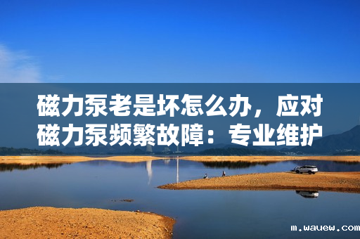 磁力泵老是坏怎么办,应对磁力泵频繁故障:专业维护与操作指南 磁力泵老是坏怎么办,应对磁力泵频繁故障:专业维护与操作指南