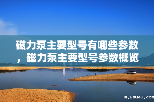 磁力泵主要型号有哪些参数,磁力泵主要型号参数概览 磁力泵主要型号有哪些参数,磁力泵主要型号参数概览