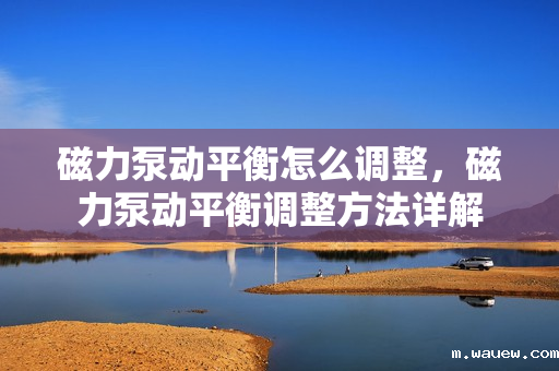 磁力泵动平衡怎么调整,磁力泵动平衡调整方法详解 磁力泵动平衡怎么调整,磁力泵动平衡调整方法详解