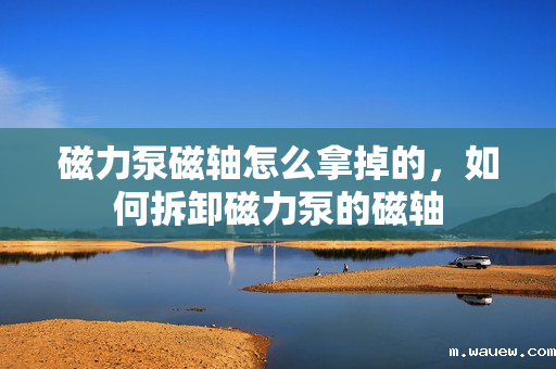 磁力泵磁轴怎么拿掉的,如何拆卸磁力泵的磁轴 磁力泵磁轴怎么拿掉的,如何拆卸磁力泵的磁轴