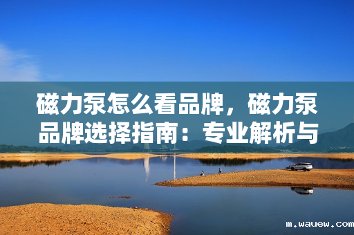 磁力泵怎么看品牌,磁力泵品牌选择指南:专业解析与推荐 磁力泵怎么看品牌,磁力泵品牌选择指南:专业解析与推荐