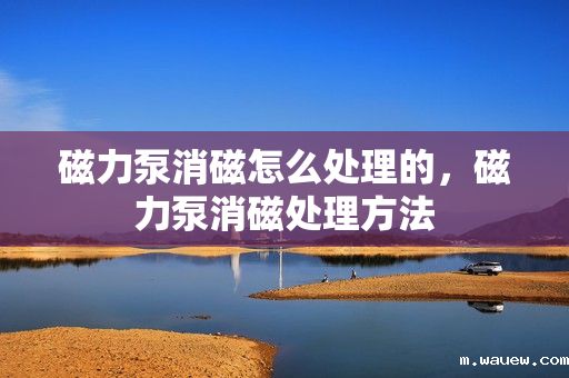 磁力泵消磁怎么处理的,磁力泵消磁处理方法 磁力泵消磁怎么处理的,磁力泵消磁处理方法