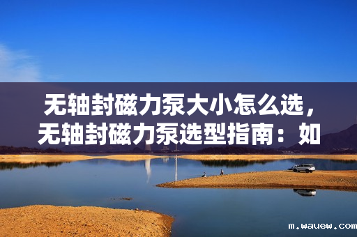 无轴封磁力泵大小怎么选,无轴封磁力泵选型指南:如何选择合适的泵大小 无轴封磁力泵大小怎么选,无轴封磁力泵选型指南:如何选择合适的泵大小