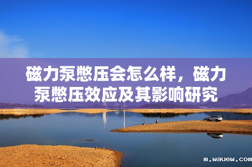 磁力泵憋压会怎么样,磁力泵憋压效应及其影响研究 磁力泵憋压会怎么样,磁力泵憋压效应及其影响研究