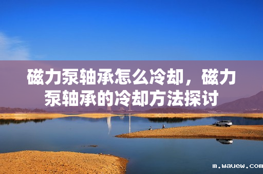 磁力泵轴承怎么冷却,磁力泵轴承的冷却方法探讨 磁力泵轴承怎么冷却,磁力泵轴承的冷却方法探讨