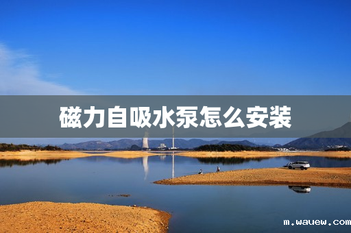 磁力自吸水泵怎么安装 磁力自吸水泵怎么安装