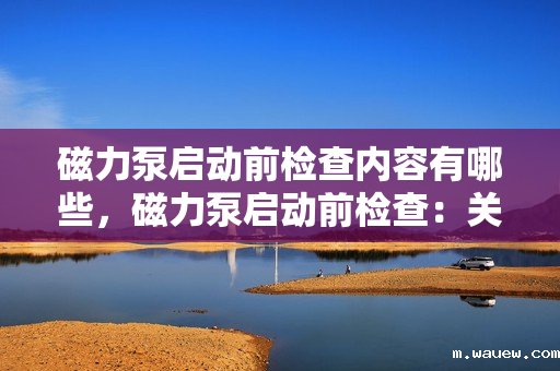 磁力泵启动前检查内容有哪些,磁力泵启动前检查:关键步骤与要点解析 磁力泵启动前检查内容有哪些,磁力泵启动前检查:关键步骤与要点解析