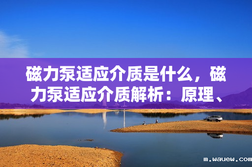 磁力泵适应介质是什么,磁力泵适应介质解析:原理、应用与优势 磁力泵适应介质是什么,磁力泵适应介质解析:原理、应用与优势