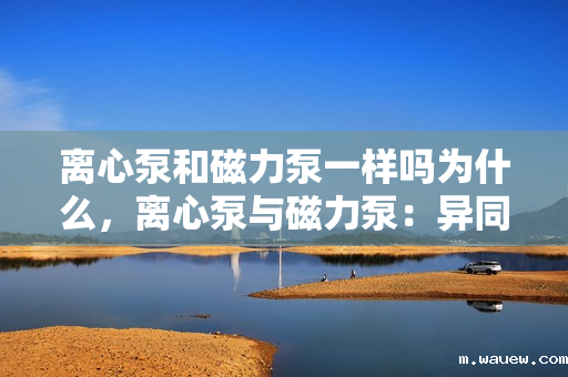 离心泵和磁力泵一样吗为什么,离心泵与磁力泵:异同解析 离心泵和磁力泵一样吗为什么,离心泵与磁力泵:异同解析
