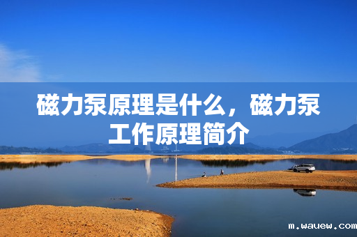 磁力泵原理是什么,磁力泵工作原理简介 磁力泵原理是什么,磁力泵工作原理简介