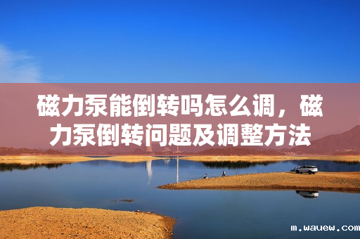 磁力泵能倒转吗怎么调,磁力泵倒转问题及调整方法 磁力泵能倒转吗怎么调,磁力泵倒转问题及调整方法