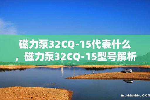 磁力泵32CQ-15代表什么,磁力泵32CQ-15型号解析与应用 磁力泵32CQ-15代表什么,磁力泵32CQ-15型号解析与应用