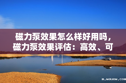 磁力泵效果怎么样好用吗,磁力泵效果评估:高效、可靠且易于使用的流体输送解决方案 磁力泵效果怎么样好用吗,磁力泵效果评估:高效、可靠且易于使用的流体输送解决方案