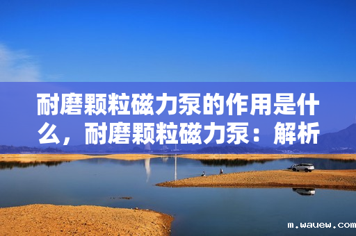 耐磨颗粒磁力泵的作用是什么,耐磨颗粒磁力泵:解析其作用与重要性 耐磨颗粒磁力泵的作用是什么,耐磨颗粒磁力泵:解析其作用与重要性