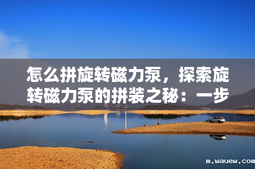 怎么拼旋转磁力泵,探索旋转磁力泵的拼装之秘:一步步打造高效流体传输利器 怎么拼旋转磁力泵,探索旋转磁力泵的拼装之秘:一步步打造高效流体传输利器