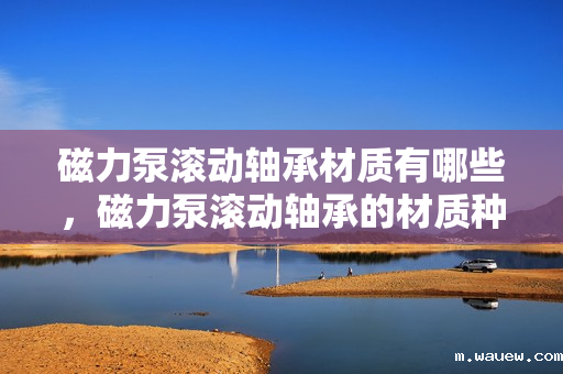 磁力泵滚动轴承材质有哪些,磁力泵滚动轴承的材质种类解析 磁力泵滚动轴承材质有哪些,磁力泵滚动轴承的材质种类解析