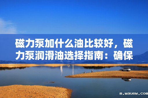 磁力泵加什么油比较好,磁力泵润滑油选择指南:确保高效运转与长久耐用的关键 磁力泵加什么油比较好,磁力泵润滑油选择指南:确保高效运转与长久耐用的关键