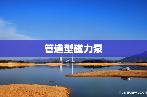 管道型磁力泵 管道型磁力泵