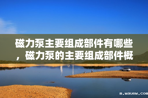 磁力泵主要组成部件有哪些,磁力泵的主要组成部件概览:全面解析其核心构造 磁力泵主要组成部件有哪些,磁力泵的主要组成部件概览:全面解析其核心构造