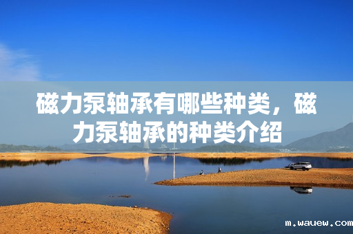 磁力泵轴承有哪些种类,磁力泵轴承的种类介绍 磁力泵轴承有哪些种类,磁力泵轴承的种类介绍