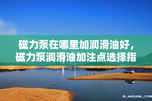 磁力泵在哪里加润滑油好,磁力泵润滑油加注点选择指南:确保性能与寿命的关键一步 磁力泵在哪里加润滑油好,磁力泵润滑油加注点选择指南:确保性能与寿命的关键一步