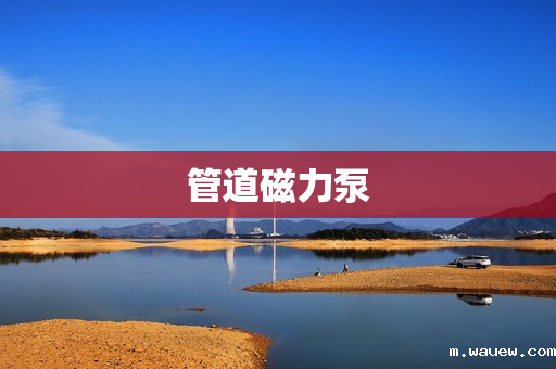 管道磁力泵 管道磁力泵