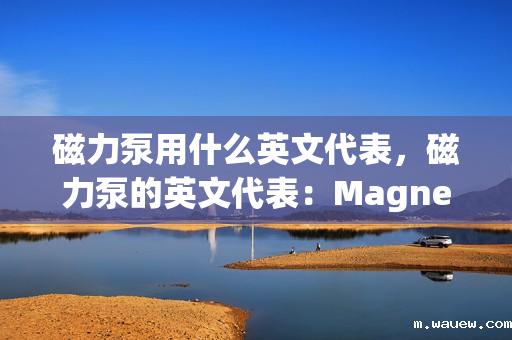 磁力泵用什么英文代表,磁力泵的英文代表:Magnetic Drive Pump 磁力泵用什么英文代表,磁力泵的英文代表:Magnetic Drive Pump