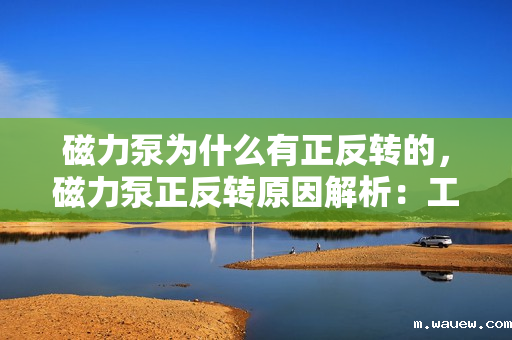 磁力泵为什么有正反转的,磁力泵正反转原因解析:工作机理与操作要求探讨 磁力泵为什么有正反转的,磁力泵正反转原因解析:工作机理与操作要求探讨