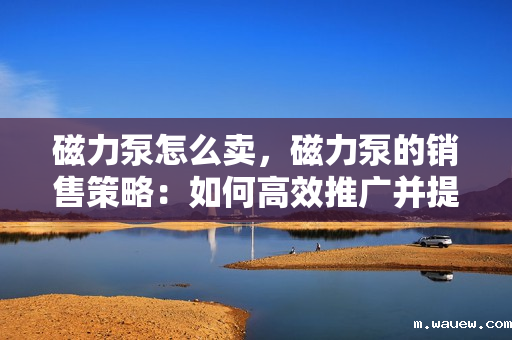 磁力泵怎么卖,磁力泵的销售策略:如何高效推广并提升销售业绩 磁力泵怎么卖,磁力泵的销售策略:如何高效推广并提升销售业绩