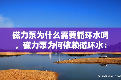 磁力泵为什么需要循环水吗,磁力泵为何依赖循环水:解析冷却循环系统在磁力泵中的关键作用 磁力泵为什么需要循环水吗,磁力泵为何依赖循环水:解析冷却循环系统在磁力泵中的关键作用