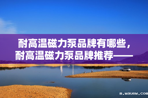 耐高温磁力泵品牌有哪些,耐高温磁力泵品牌推荐——行业优选,性能卓越 耐高温磁力泵品牌有哪些,耐高温磁力泵品牌推荐——行业优选,性能卓越