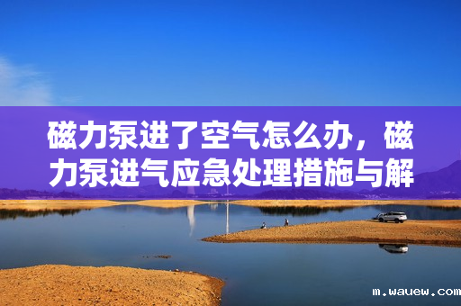 磁力泵进了空气怎么办,磁力泵进气应急处理措施与解决方案 磁力泵进了空气怎么办,磁力泵进气应急处理措施与解决方案