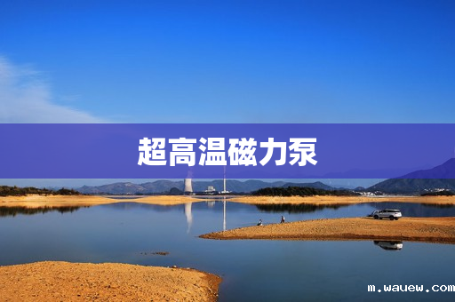 超高温磁力泵 超高温磁力泵