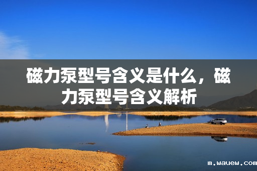 磁力泵型号含义是什么,磁力泵型号含义解析 磁力泵型号含义是什么,磁力泵型号含义解析