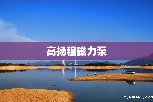 高扬程磁力泵 高扬程磁力泵