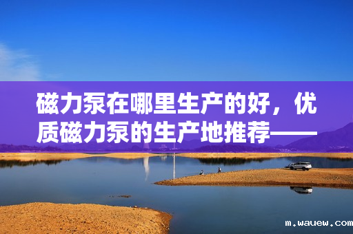磁力泵在哪里生产的好,优质磁力泵的生产地推荐——选择这些地方,品质有保障 磁力泵在哪里生产的好,优质磁力泵的生产地推荐——选择这些地方,品质有保障