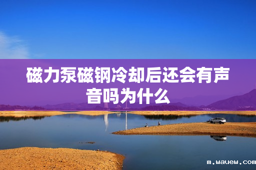 磁力泵磁钢冷却后还会有声音吗为什么 磁力泵磁钢冷却后还会有声音吗为什么