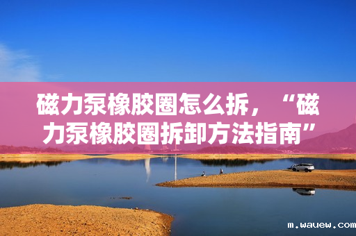 磁力泵橡胶圈怎么拆,“磁力泵橡胶圈拆卸方法指南” 磁力泵橡胶圈怎么拆,“磁力泵橡胶圈拆卸方法指南”