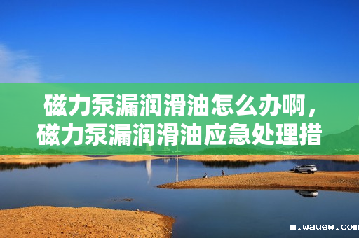 磁力泵漏润滑油怎么办啊,磁力泵漏润滑油应急处理措施与解决方案 磁力泵漏润滑油怎么办啊,磁力泵漏润滑油应急处理措施与解决方案
