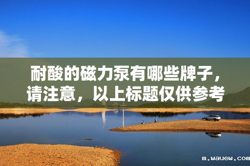 耐酸的磁力泵有哪些牌子,请注意,以上标题仅供参考,实际使用时请确保其符合您的具体需求和上下文。同时,考虑到耐酸的磁力泵品牌可能众多,建议在购买前进行详细的市场调研和产品比较,以确保选择到最适合您需求的品牌和产品。 耐酸的磁力泵有哪些牌子,请注意,以上标题仅供参考,实际使用时请确保其符合您的具体需求和上下文。同时,考虑到耐酸的磁力泵品牌可能众多,建议在购买前进行详细的市场调研和产品比较,以确保选择到最适合您需求的品牌和产品。