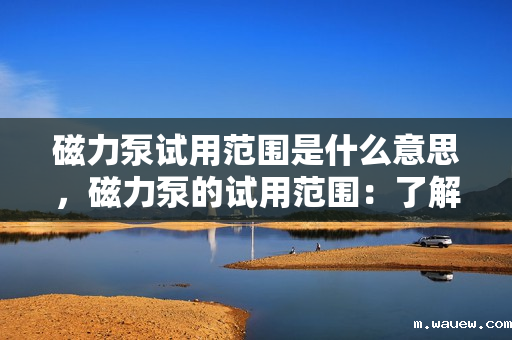 磁力泵试用范围是什么意思,磁力泵的试用范围:了解其应用场景与限制条件 磁力泵试用范围是什么意思,磁力泵的试用范围:了解其应用场景与限制条件