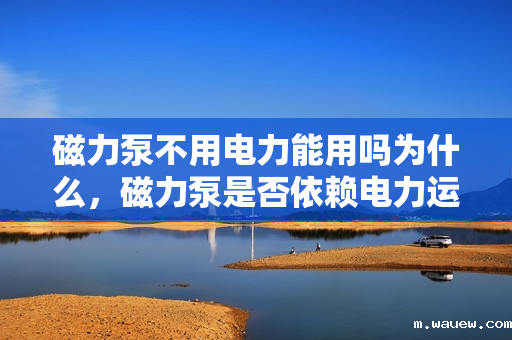 磁力泵不用电力能用吗为什么,磁力泵是否依赖电力运行?解析其工作原理及能源需求 磁力泵不用电力能用吗为什么,磁力泵是否依赖电力运行?解析其工作原理及能源需求
