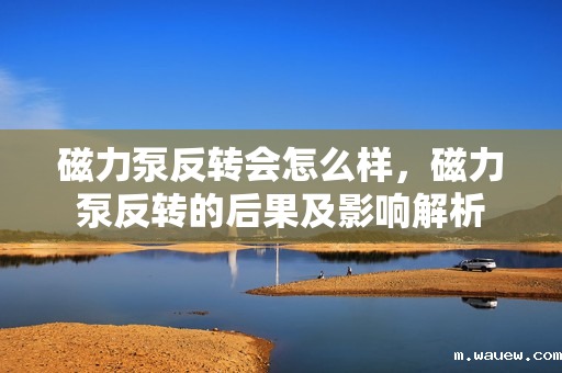 磁力泵反转会怎么样,磁力泵反转的后果及影响解析 磁力泵反转会怎么样,磁力泵反转的后果及影响解析