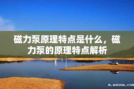 磁力泵原理特点是什么,磁力泵的原理特点解析 磁力泵原理特点是什么,磁力泵的原理特点解析